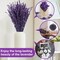Dried Purple Lavender Flowers Bundle-Dried Preserved Lavender Bouquet 8-12" for Shower Weeding Home Vase Decor, Crafts, Aromatherapy, Fragrance, Fresh Silk Dry Live Plants, 90g(3.17oz)